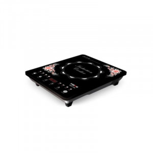 Vision Induction Cooker VSN-1206 ECO